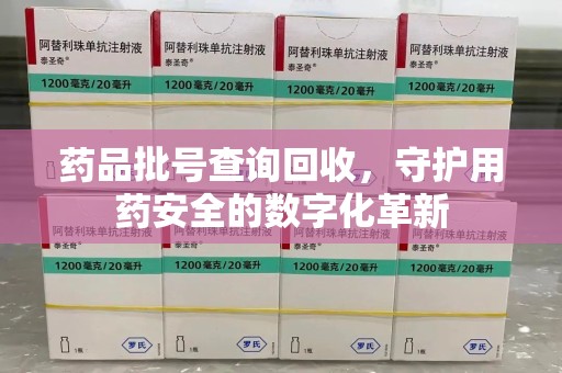 湛江药品批号查询回收，守护用药安全的数字化革新