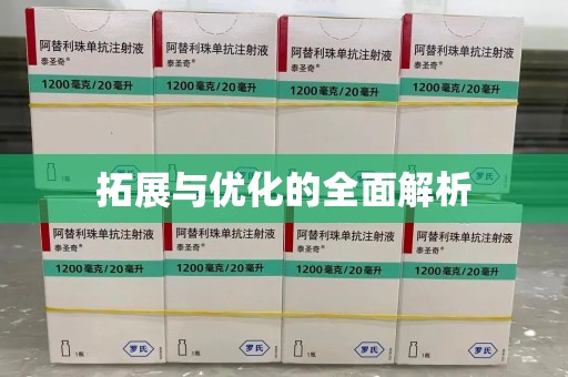湛江拓展与优化的全面解析