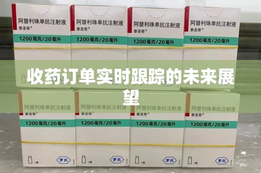 湛江收药订单实时跟踪的未来展望