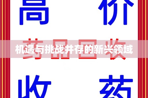 湛江机遇与挑战并存的新兴领域