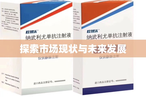 湛江探索市场现状与未来发展