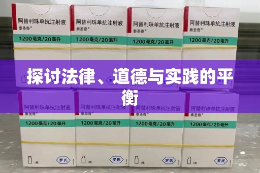 湛江探讨法律、道德与实践的平衡