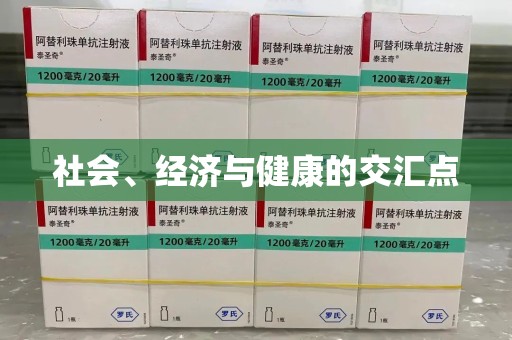 湛江社会、经济与健康的交汇点