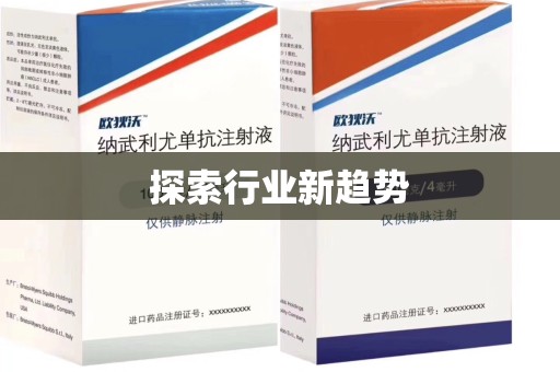 湛江探索行业新趋势