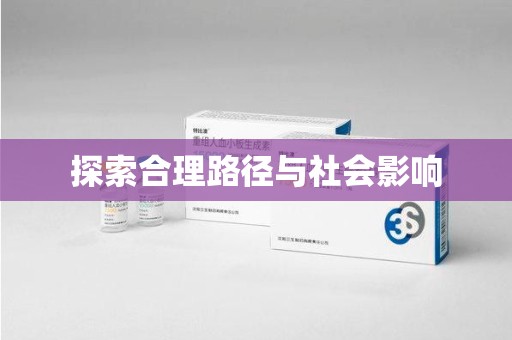 湛江探索合理路径与社会影响