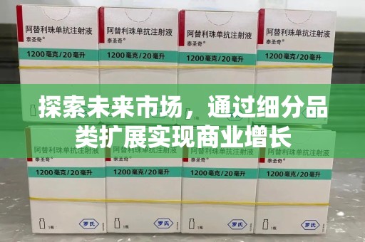 湛江探索未来市场，通过细分品类扩展实现商业增长