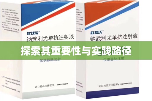 湛江探索其重要性与实践路径