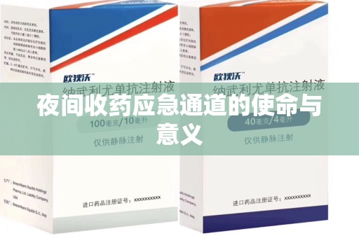 湛江夜间收药应急通道的使命与意义