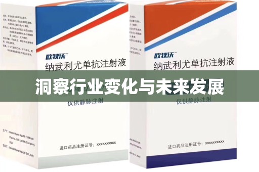 湛江洞察行业变化与未来发展