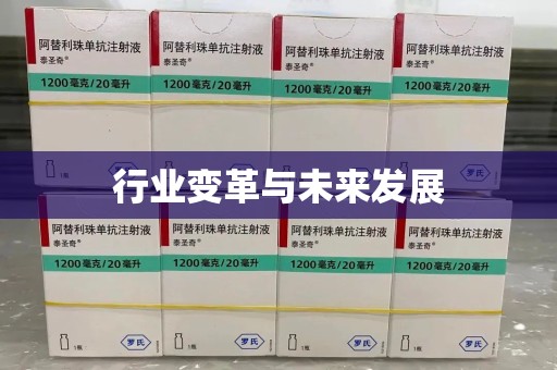 湛江行业变革与未来发展