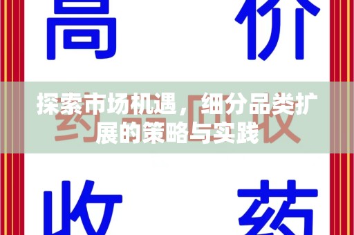 湛江探索市场机遇，细分品类扩展的策略与实践