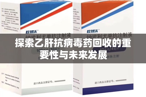 湛江探索乙肝抗病毒药回收的重要性与未来发展