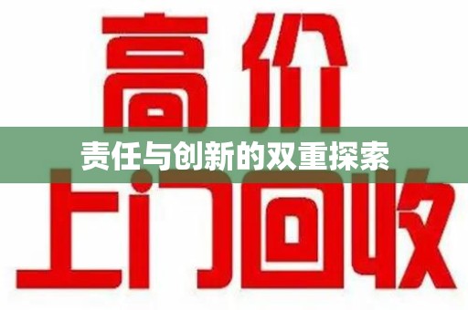 湛江责任与创新的双重探索
