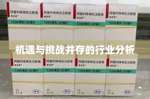 湛江机遇与挑战并存的行业分析