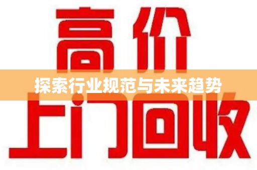 湛江探索行业规范与未来趋势