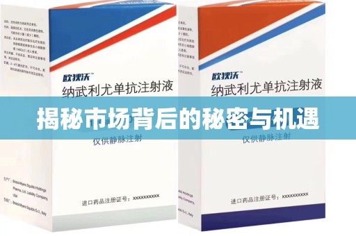 湛江揭秘市场背后的秘密与机遇