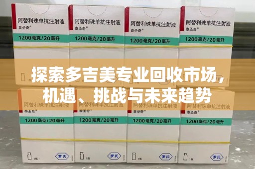湛江探索多吉美专业回收市场，机遇、挑战与未来趋势