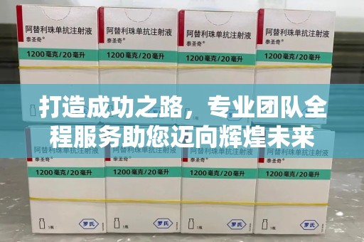 湛江打造成功之路，专业团队全程服务助您迈向辉煌未来