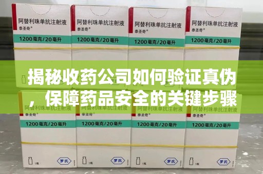 湛江揭秘收药公司如何验证真伪，保障药品安全的关键步骤