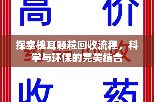 湛江探索槐耳颗粒回收流程，科学与环保的完美结合