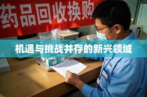 湛江机遇与挑战并存的新兴领域