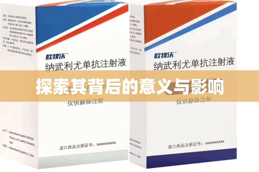 湛江探索其背后的意义与影响