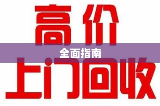 湛江全面指南