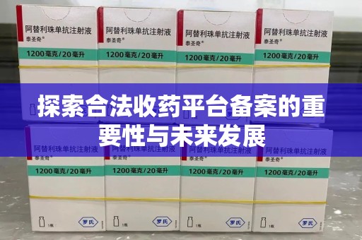 湛江探索合法收药平台备案的重要性与未来发展
