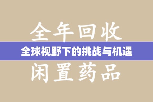 湛江全球视野下的挑战与机遇