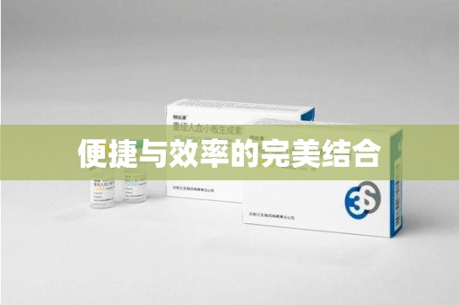 湛江便捷与效率的完美结合