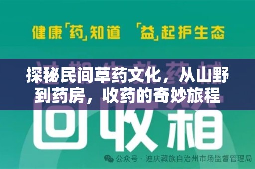 湛江探秘民间草药文化，从山野到药房，收药的奇妙旅程