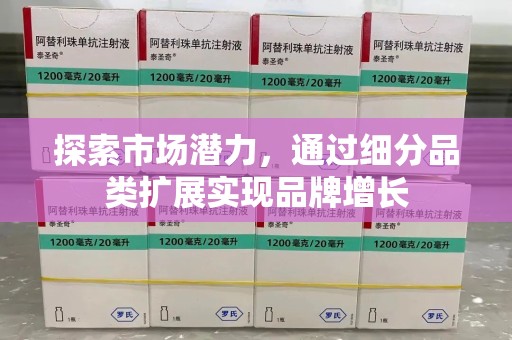 湛江探索市场潜力，通过细分品类扩展实现品牌增长