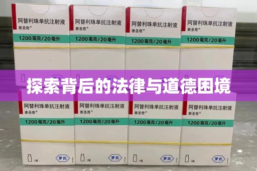 湛江探索背后的法律与道德困境